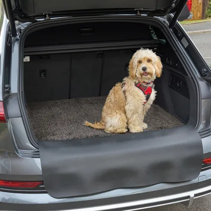 Tapis de coffre de voiture Protection de coffre pour chiens